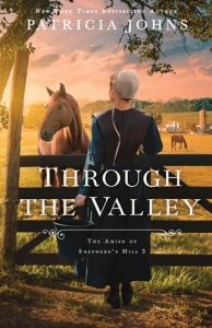 Through the Valley by Patricia Johns