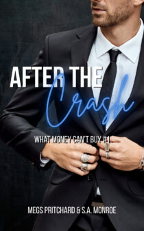 After The Crash by Megs Pritchard, S.A. Monroe EPUB & PDF