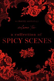 A Collection Of Spicy Scenes, Volume 2 by Willow Winters EPUB & PDF