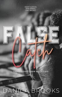 False Catch by Danica Brooks EPUB & PDF