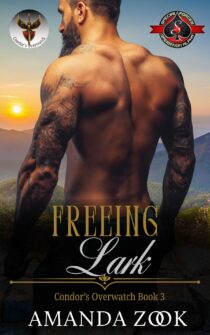 Freeing Lark by Amanda Zook EPUB & PDF
