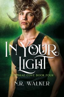 In Your Light by N.R. Walker EPUB & PDF