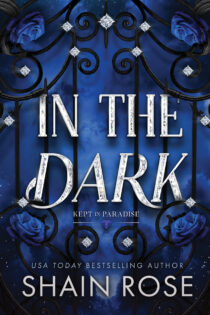 In the Dark by Shain Rose EPUB & PDF