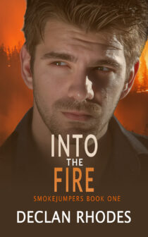 Into the Fire by Declan Rhodes EPUB & PDF