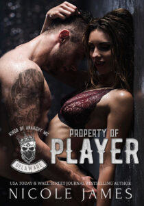 Property of Player by Nicole James EPUB & PDF