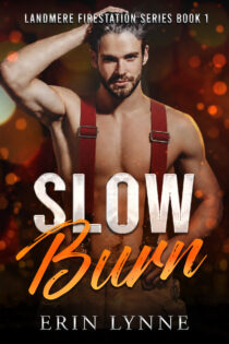 Slow Burn by Erin Lynne EPUB & PDF