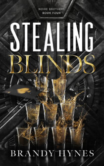 Stealing Blinds by Brandy Hynes EPUB & PDF