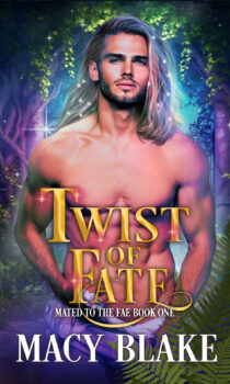 Twist of Fate by Macy Blake EPUB & PDF