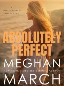 Absolutely Perfect by Meghan March EPUB & PDF