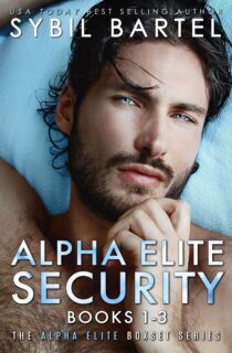 Alpha Elite Security Books #1-3 by Sybil Bartel EPUB & PDF