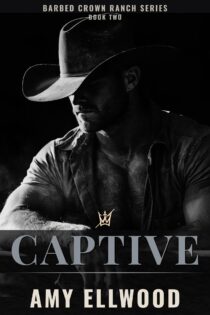 Captive by Amy Ellwood EPUB & PDF