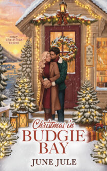 Christmas in Budgie Bay by June Jule EPUB & PDF