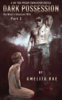 Dark Possession by Amelita Rae EPUB & PDF
