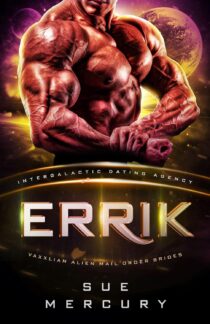 Errik by Sue Mercury EPUB & PDF