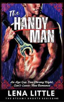 The Handyman by Lena Little EPUB & PDF
