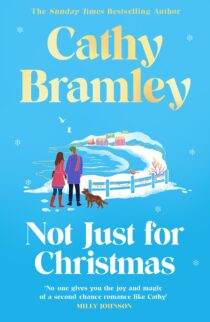 Not Just for Christmas by Cathy Bramley EPUB & PDF