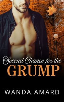 Second Chance for the Grump by Wanda Amard EPUB & PDF
