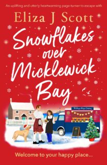 Snowflakes Over Micklewick Bay by Eliza J Scott EPUB & PDF