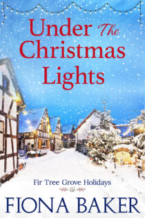 Under the Christmas Lights by Fiona Baker EPUB & PDF