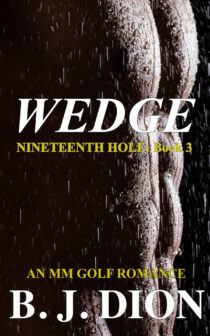 Wedge by B.J. Dion EPUB & PDF