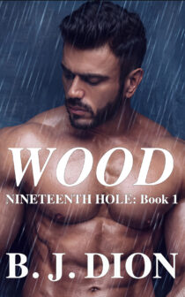 Wood by B.J. Dion EPUB & PDF