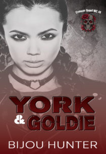 York & Goldie by Bijou Hunter EPUB & PDF